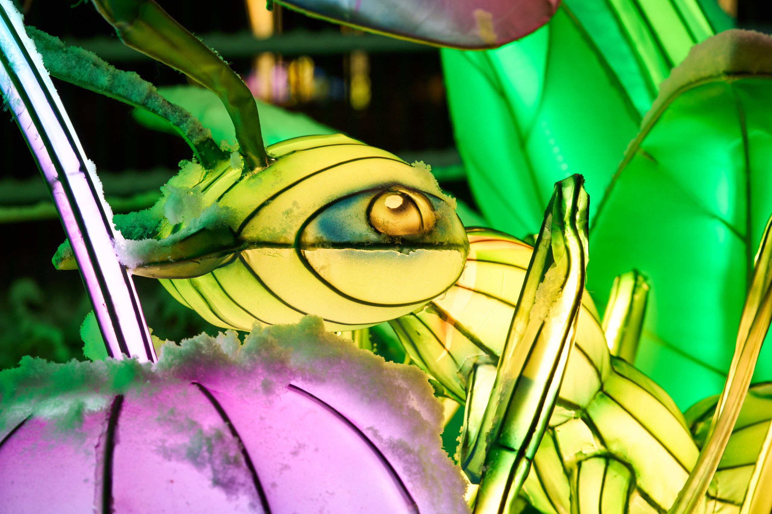 2026 01 05 China Lights 0117